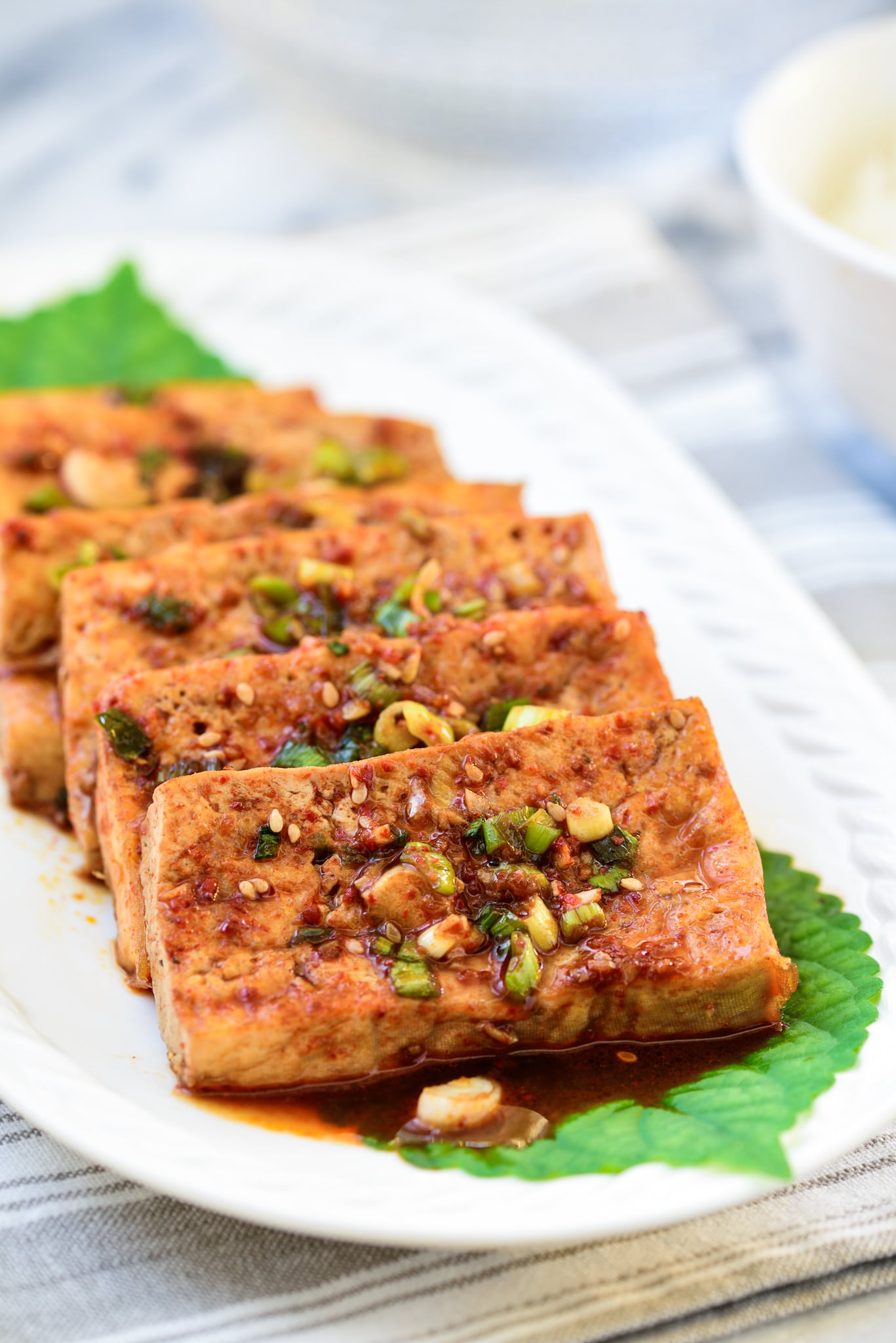 Spicy Braised Tofu Recipe