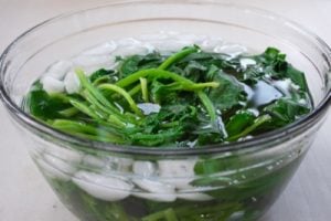 blanched spinach is being cooled in ice water