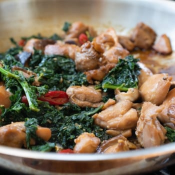 DSC6752 350x350 - Chicken Stir Fry with Kale and Mushrooms