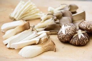 cutting various types of mushrooms on a cutting board