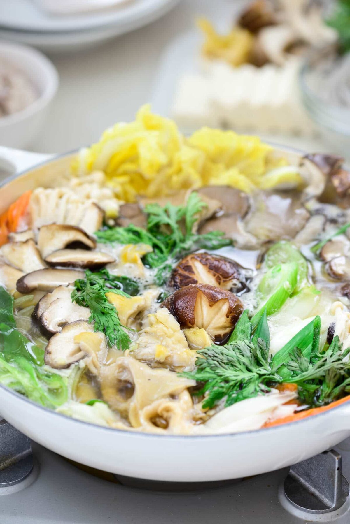 Herbal Mushroom Hot Pot Broth Recipe