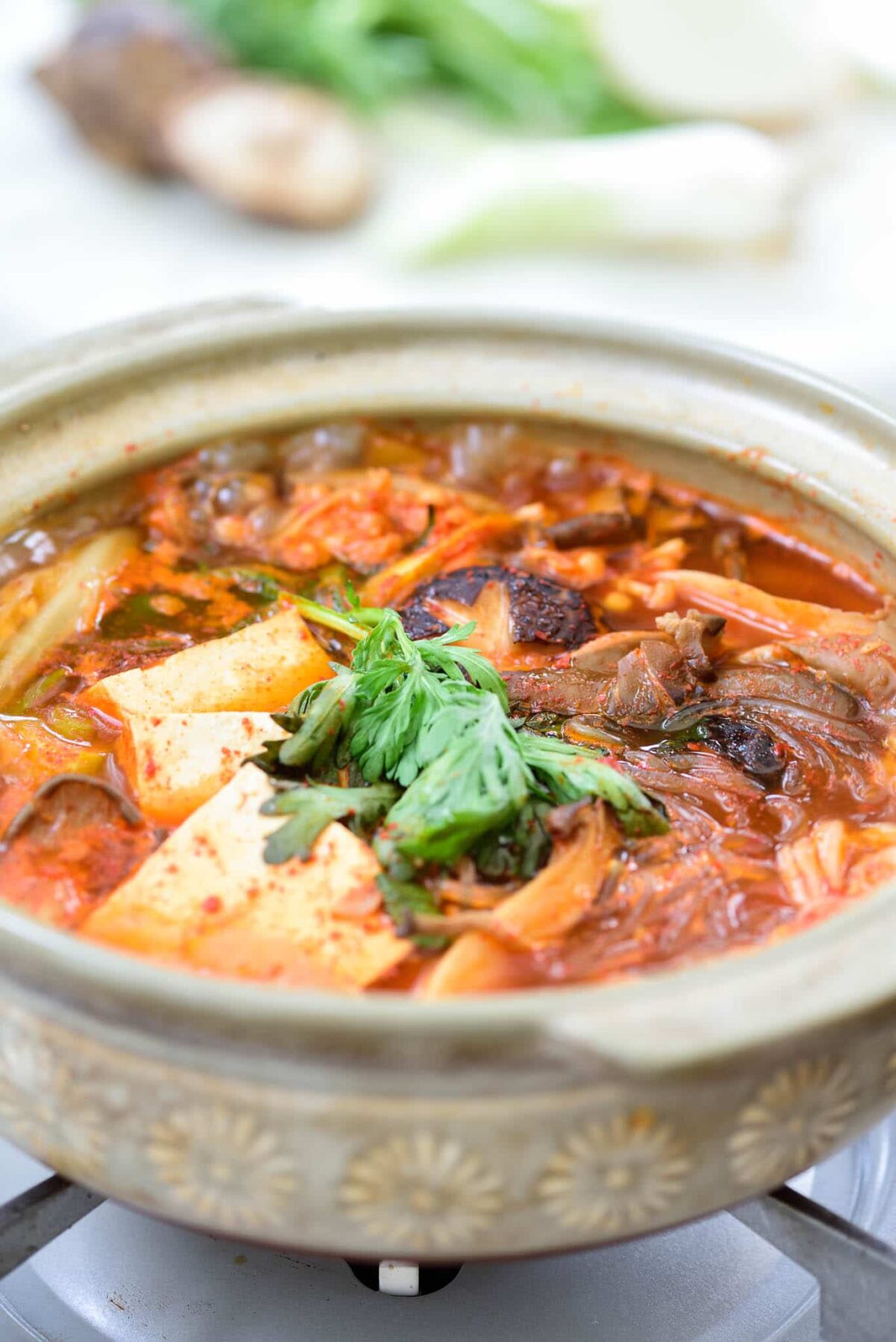 Red spicy mushroom stew with tofu and noodles in an earthenware over the stove