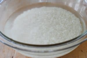 Short grain rice