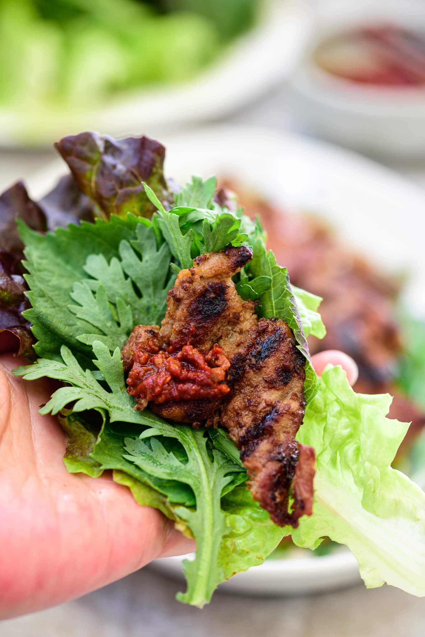 DSC8750 1 - Maekjeok (Doenjang Marinated Pork)