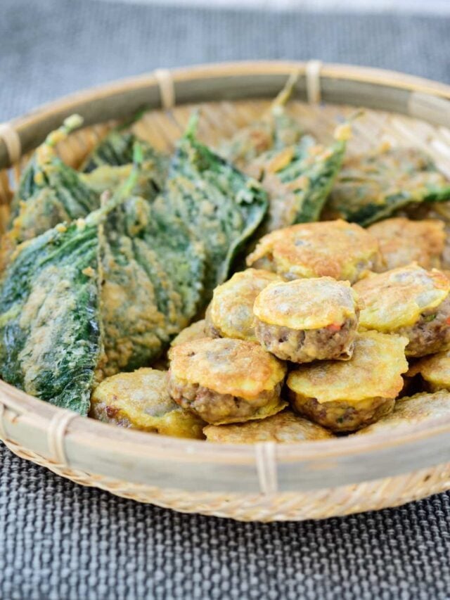 Wanja jeon (Pan-fried Meat Patties)