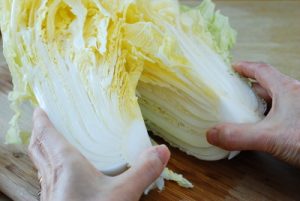 napa cabbage for kimchi