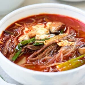DSC4727 e1649036655548 300x300 - Yukgaejang (Spicy Beef Soup with Vegetables)