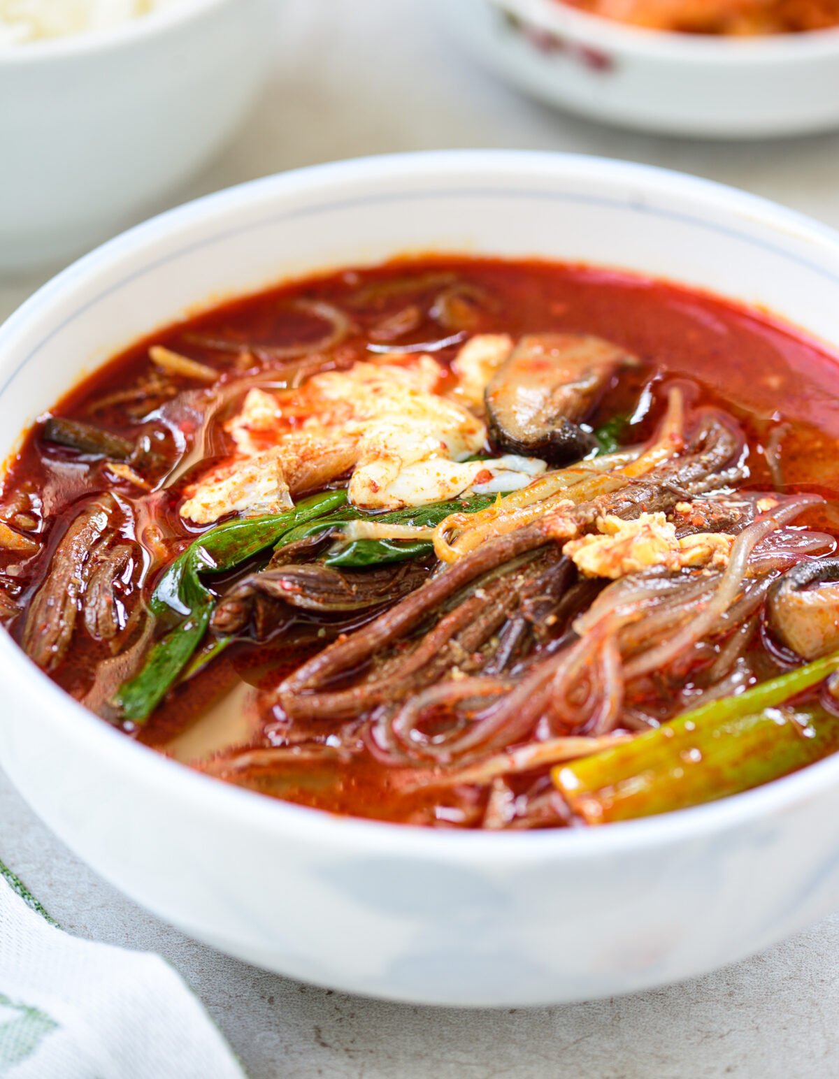 DSC4727 e1649036655548 - Yukgaejang (Spicy Beef Soup with Vegetables)