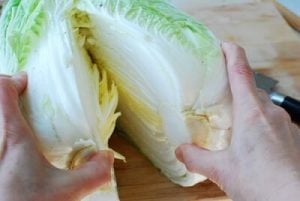 Napa cabbage kimchi recipe