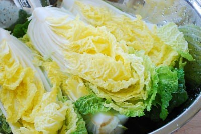 Vegan Kimchi DSC 0409 e1477365621463 - Vegan Kimchi