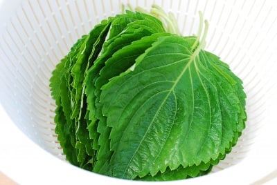 Kkaennip Jjim (Steamed Perilla Leaves)