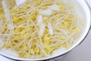 shocking soybean sprouts in cold water