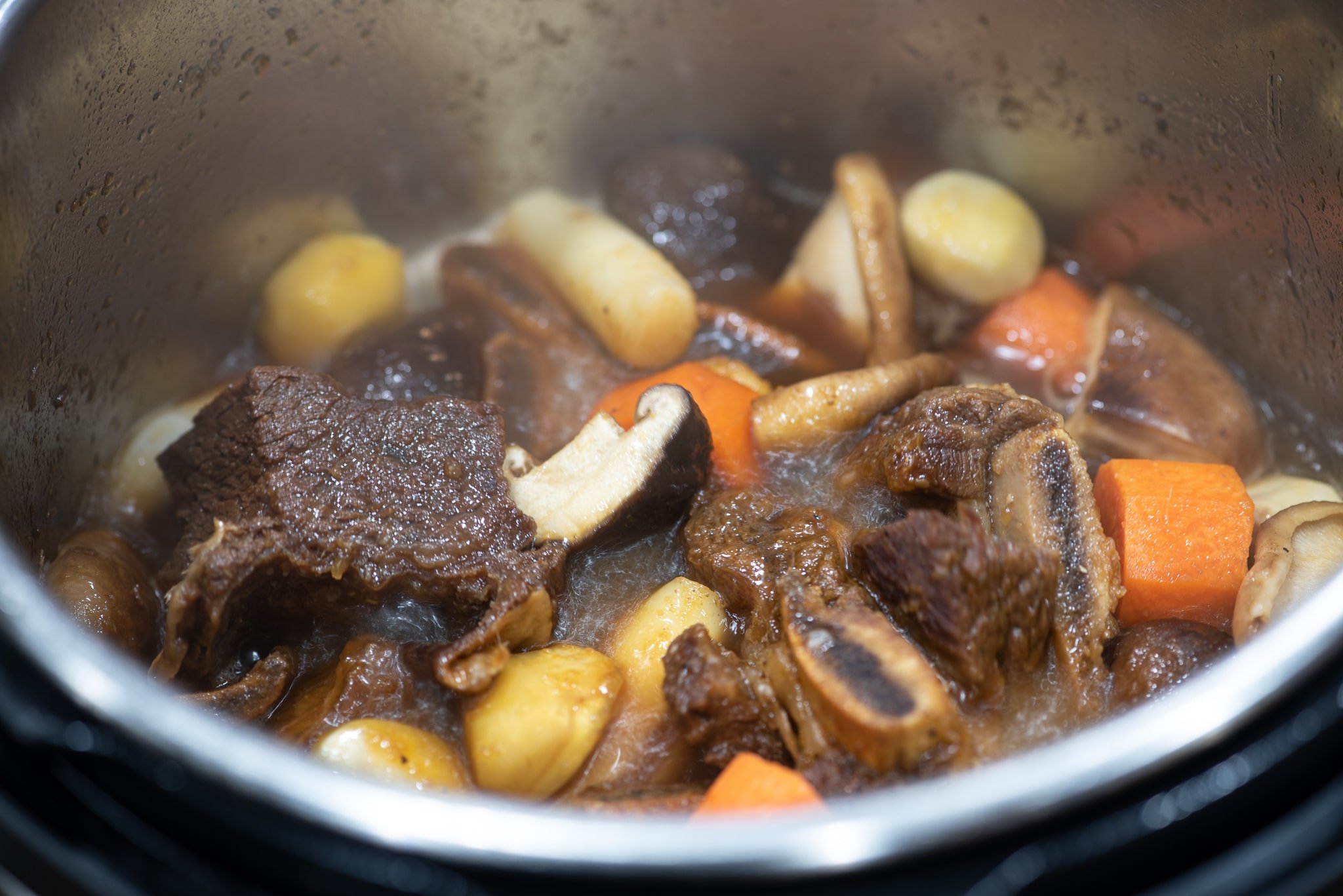 DSC8822 - Instant Pot Korean Braised Short Ribs