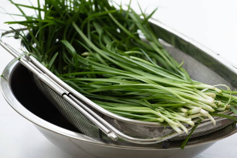 Buchu Kimchi (Garlic Chives Kimchi) DSC0180 768x513 - Buchu Kimchi (Garlic Chives Kimchi)